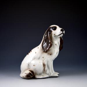 Cocker spaniel